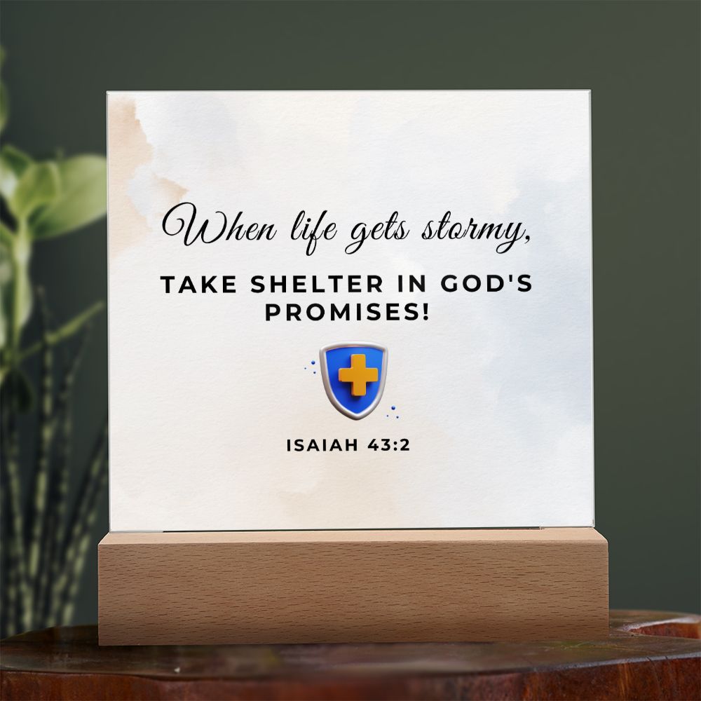 29 Square Acrylic Plaque 2023