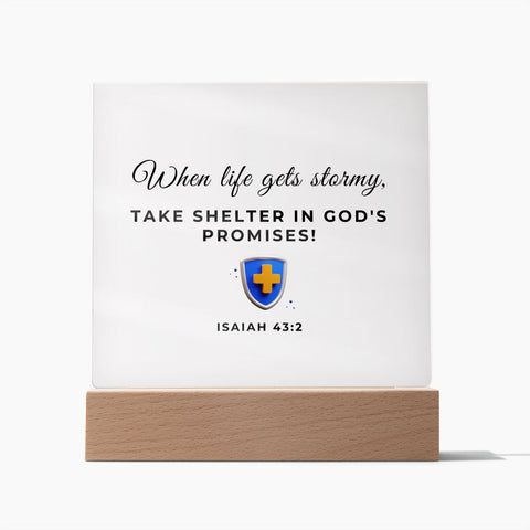9 Square Acrylic Plaque 2023
