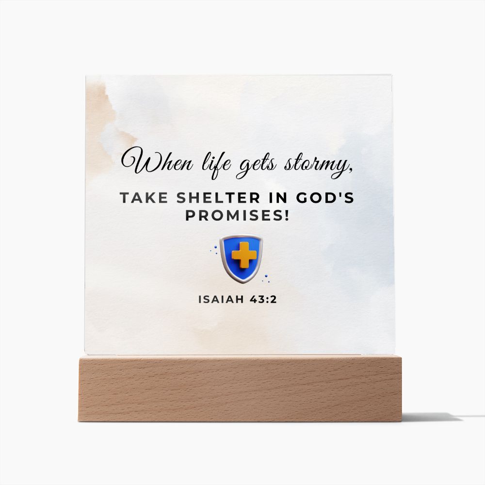 29 Square Acrylic Plaque 2023