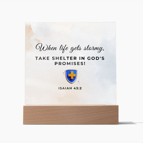 29 Square Acrylic Plaque 2023