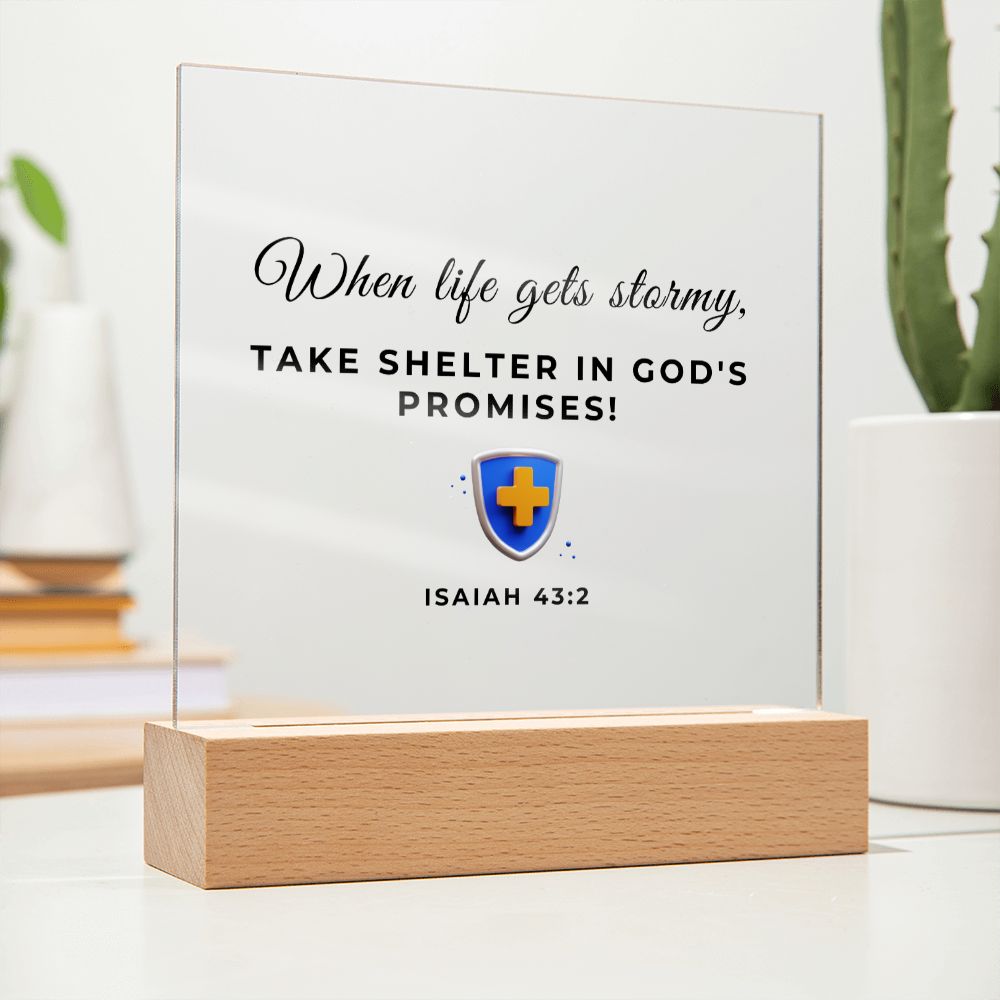 9 Square Acrylic Plaque 2023