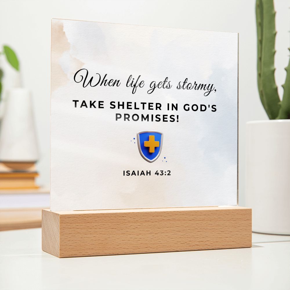 29 Square Acrylic Plaque 2023