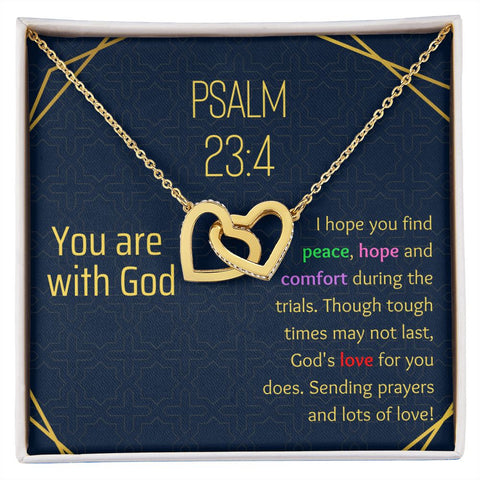 84 2022 Sept IntLock Necklace
